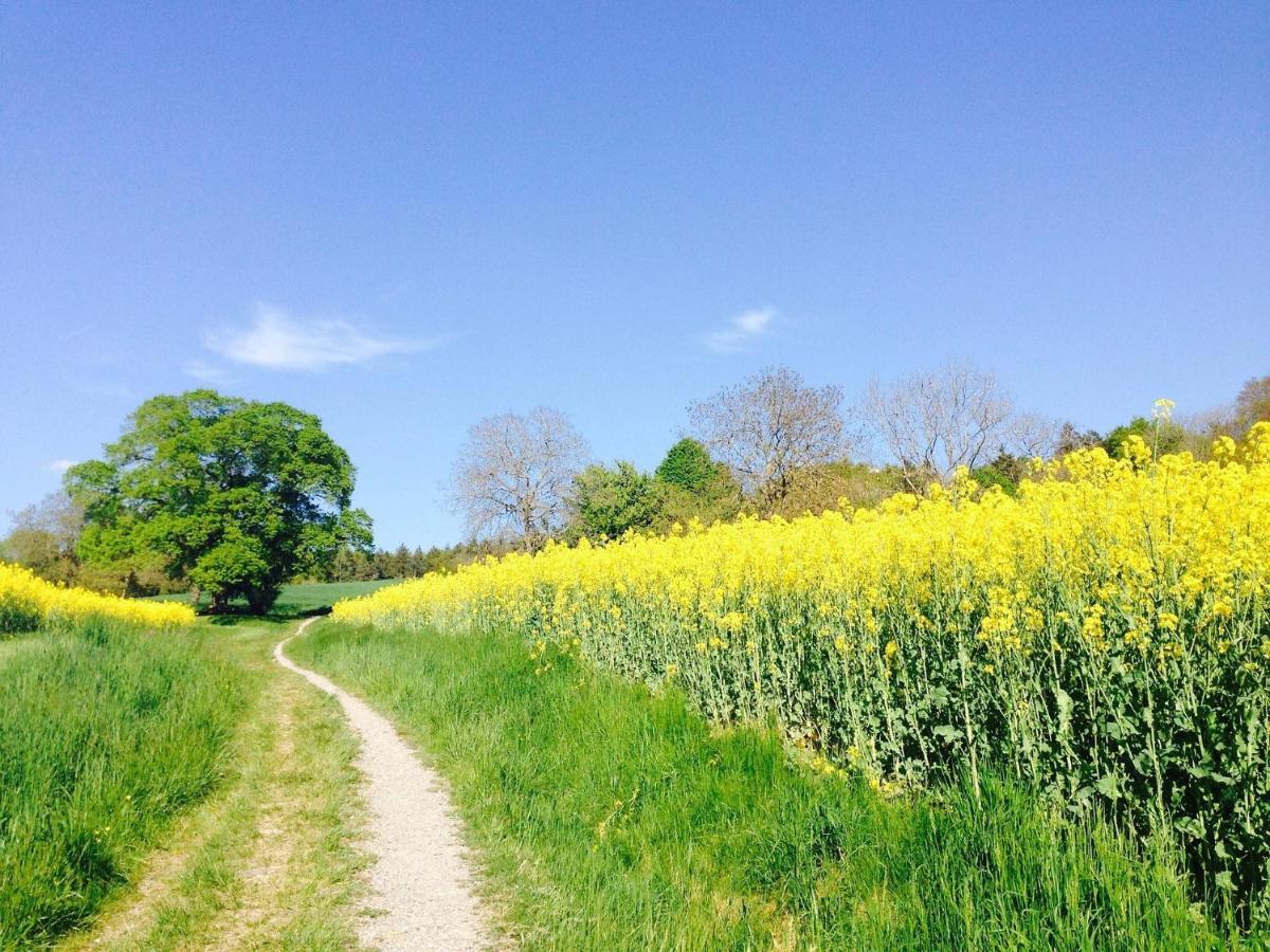 Sehr Beliebt! Ferienhaus Zur Donau Herbertingen Buitenkant foto