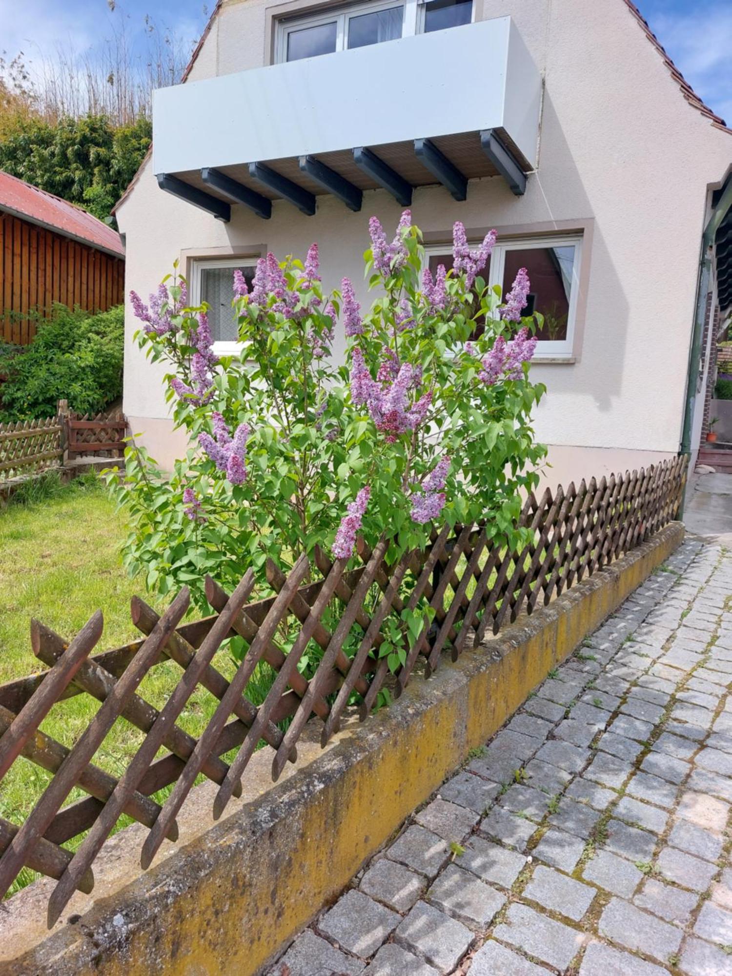 Sehr Beliebt! Ferienhaus Zur Donau Herbertingen Buitenkant foto